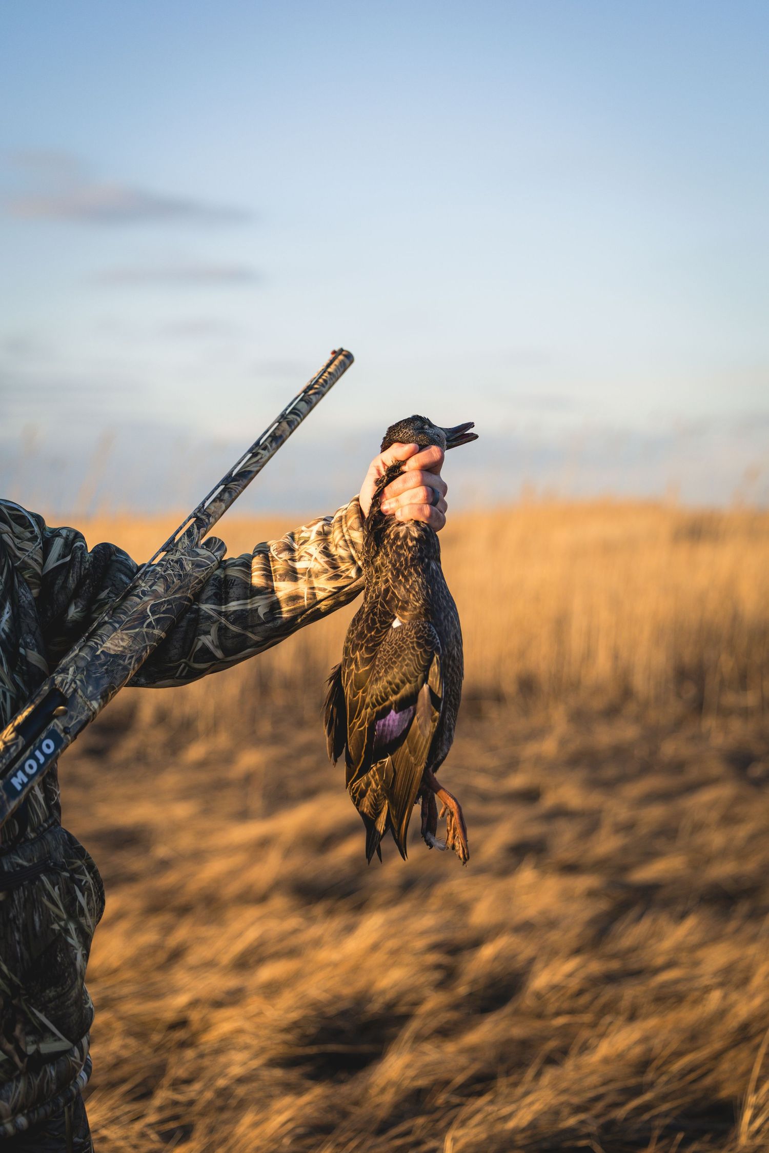 Hunter in camouflage holds up a harvested pheasant during golden hour in a grassy field at sunset.