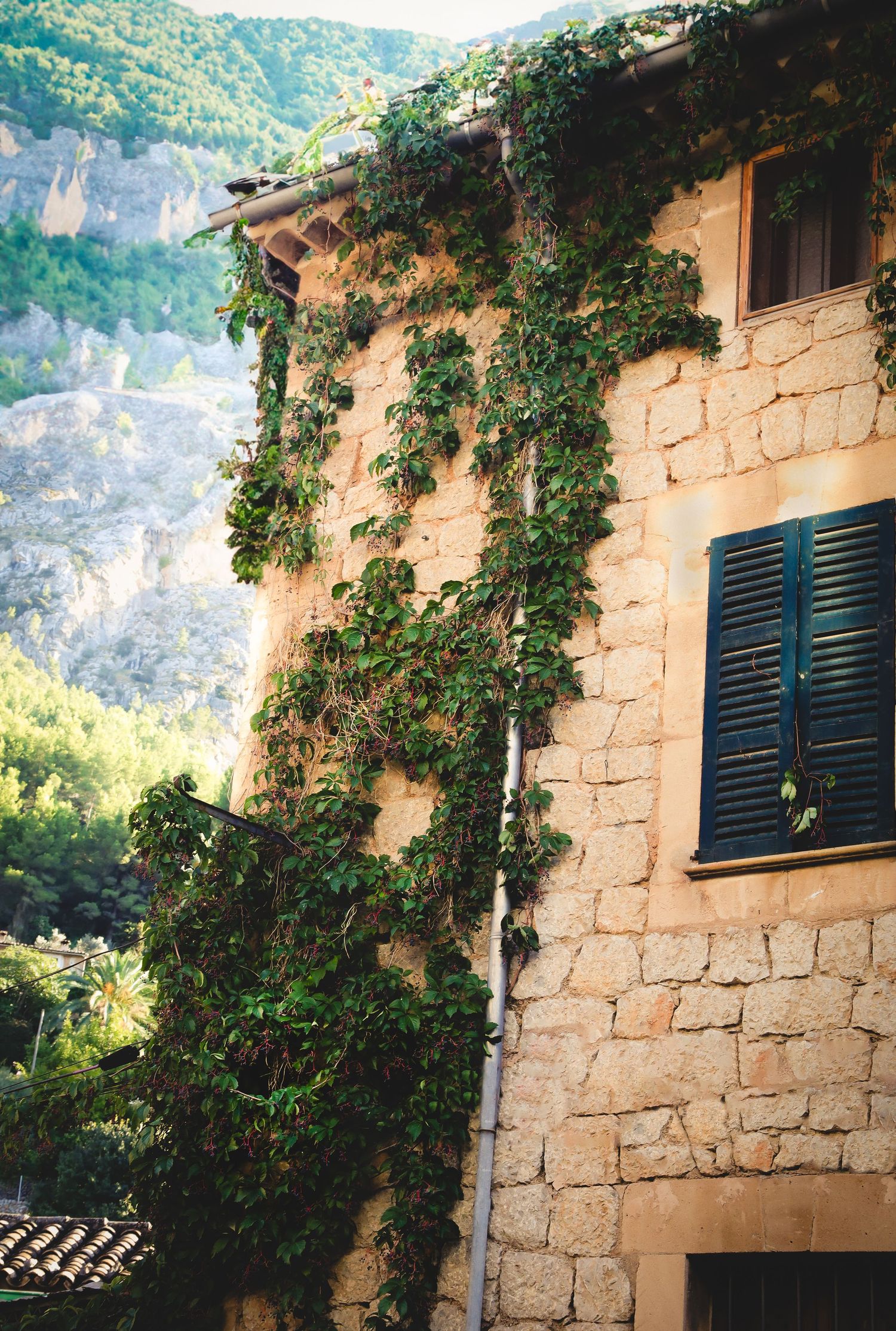 Rustic stone house with green ivy climbing its walls and blue shuttered windows set against mountainous landscape.