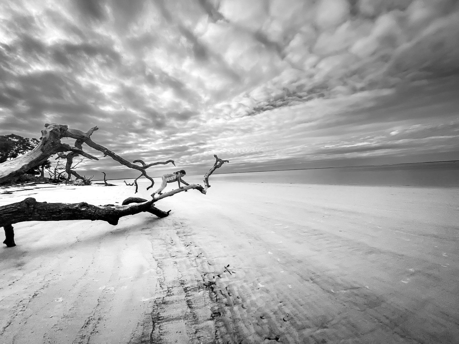 Black and white landscape of driftwood on a deserted beach under dramatic cloudy skies.