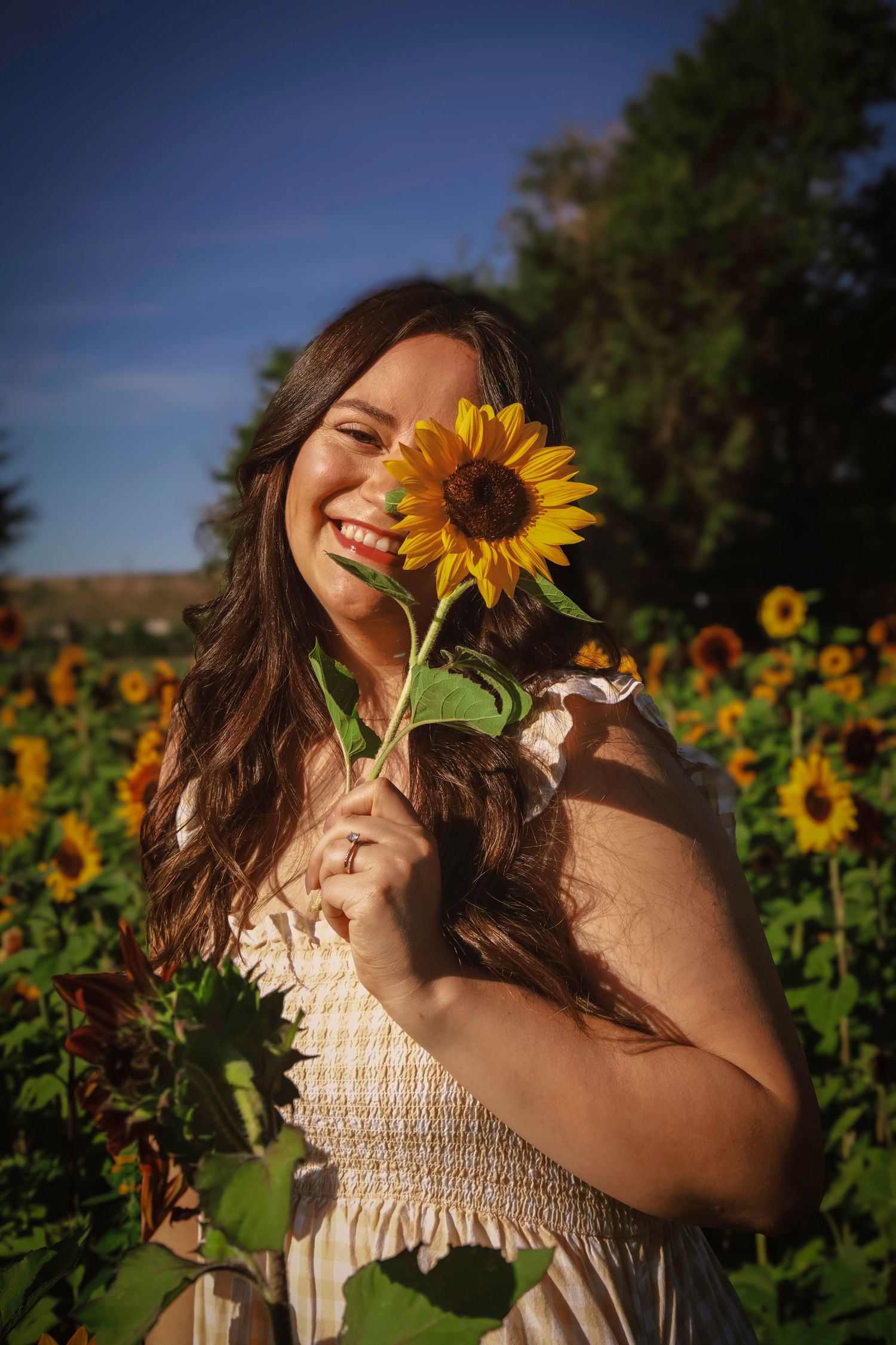 Colorado Springs portrait photography of a young woman posing with a sunflower at Gather Mountain Blooms.
