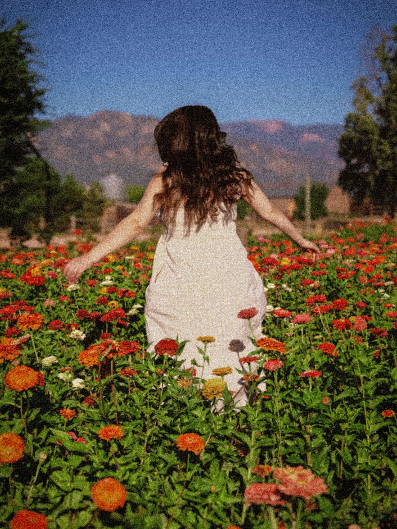Young woman walking through a colorful flower field with mountain views at Gather Mountain Blooms in Colorado.