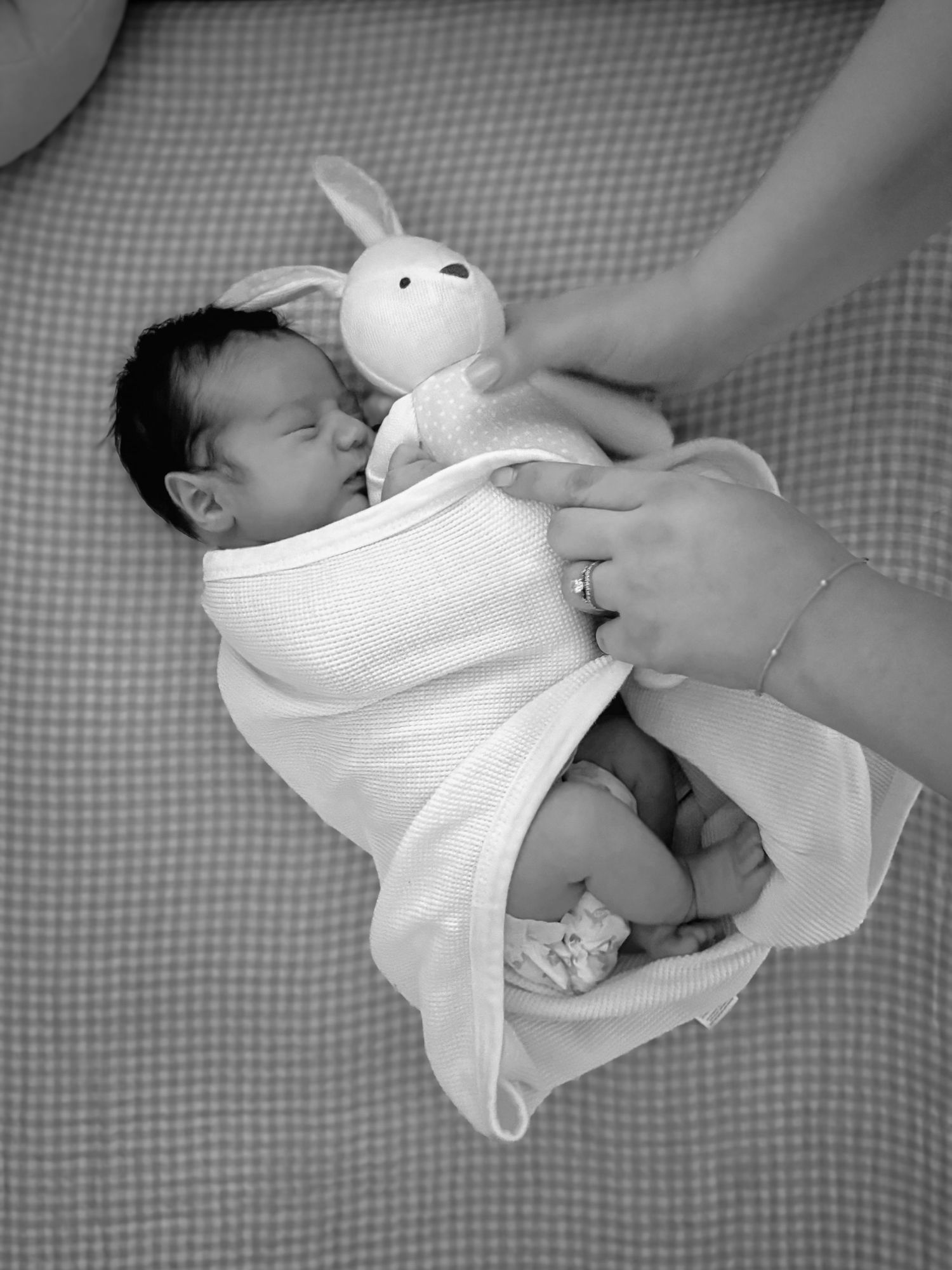 Black and white newborn portrait of a swaddled baby holding a stuffed animal during an in-home newborn session.