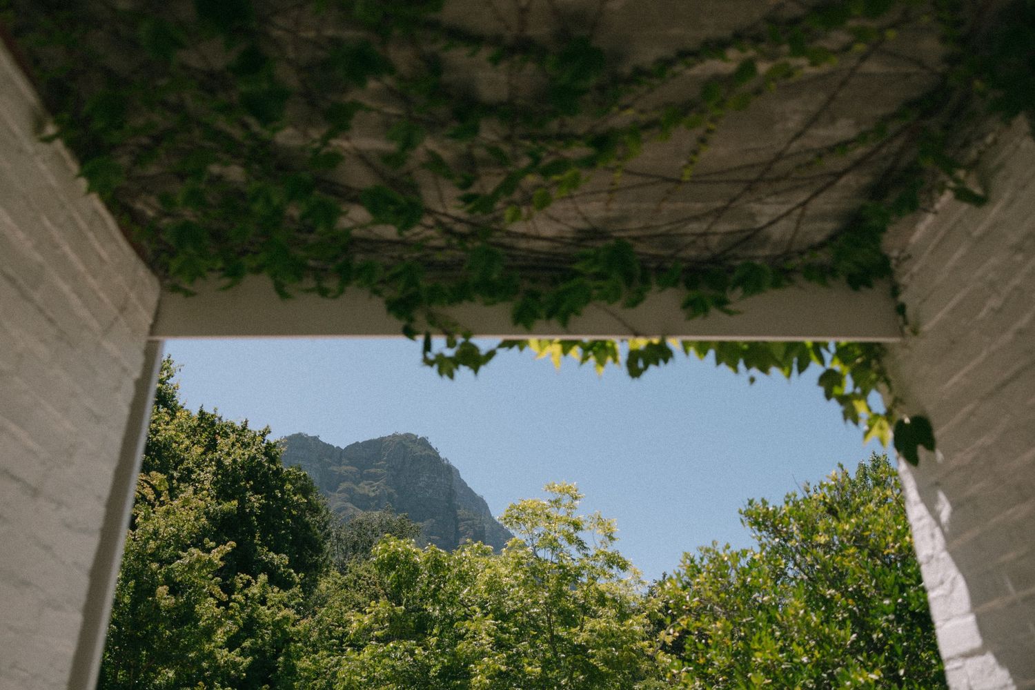Timeless, sexy, and editorial wedding photography from Cape Town at Johannesdal.1207.masterful planning by Kiona Events with Fleurlecordeur
