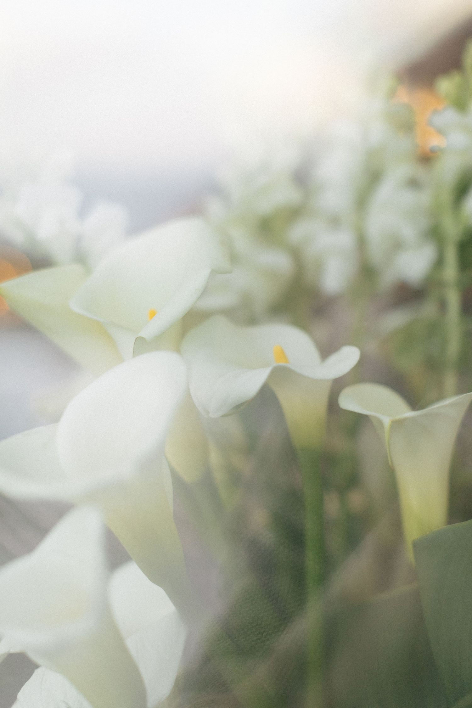 Intimate coastal wedding in Hermanus with timeless style, ocean views, and classic details captured by STIL_ cape town wedding photographers