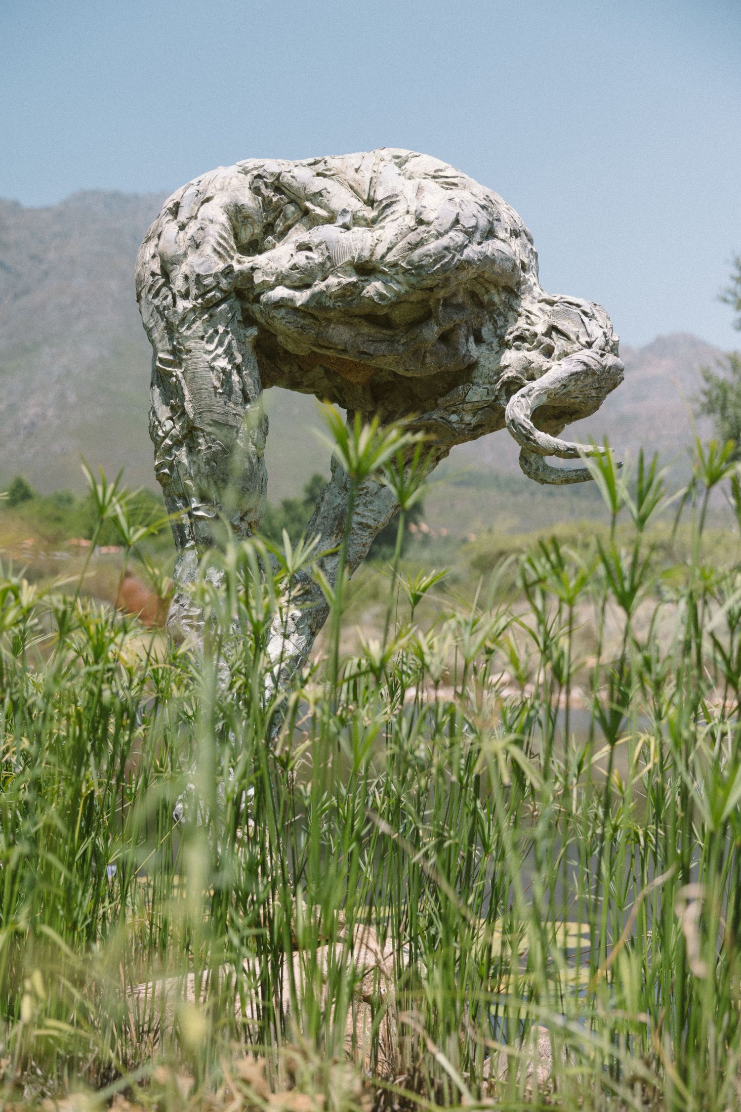 Dylan Lewis Sculpture Garden, ANNE MANN, Ayeh K,Brad Jackson, Fleur le Cordeur, makeup by Algria, Cape Town wedding photohrapher
