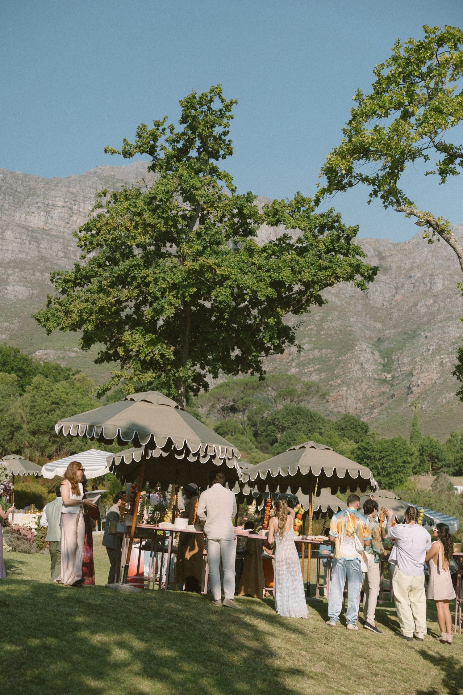 Dylan Lewis Sculpture Garden, ANNE MANN, Ayeh K,Brad Jackson, Fleur le Cordeur, makeup by Algria, Cape Town wedding photographer
