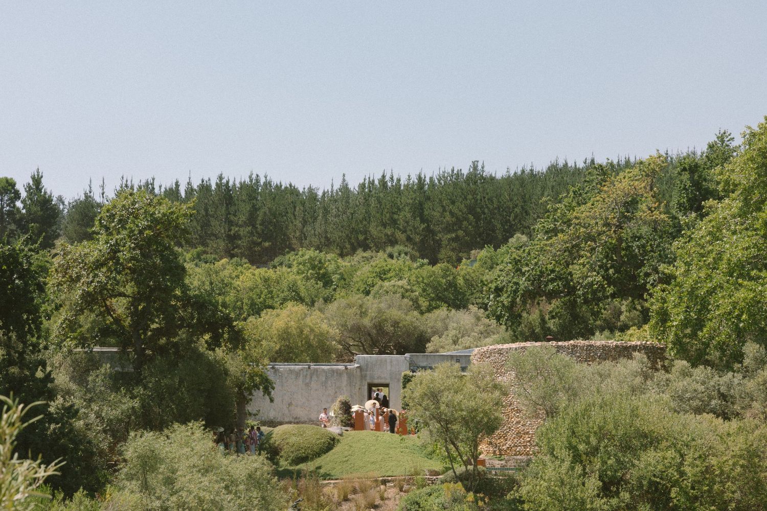 Dylan Lewis Sculpture Garden, ANNE MANN, Ayeh K,Brad Jackson, Fleur le Cordeur, makeup by Algria, Cape Town wedding photohrapher