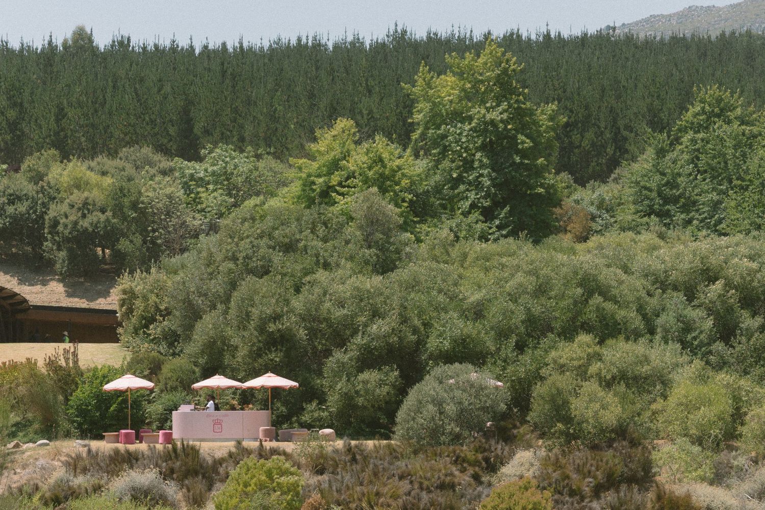 Dylan Lewis Sculpture Garden, ANNE MANN, Ayeh K,Brad Jackson, Fleur le Cordeur, makeup by Algria, Cape Town wedding photographer