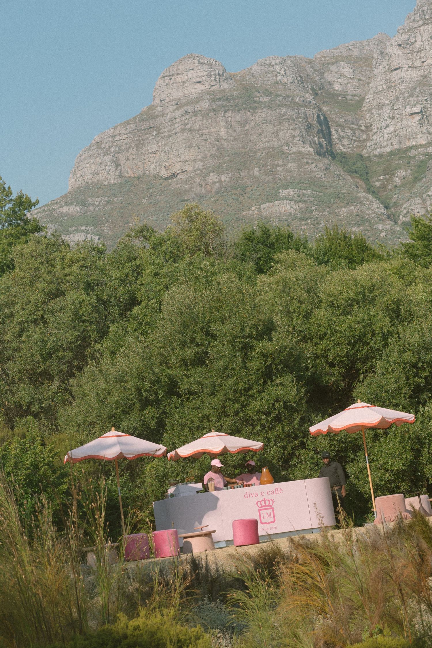 Dylan Lewis Sculpture Garden, ANNE MANN, Ayeh K,Brad Jackson, Fleur le Cordeur, makeup by Algria, Cape Town wedding photographer