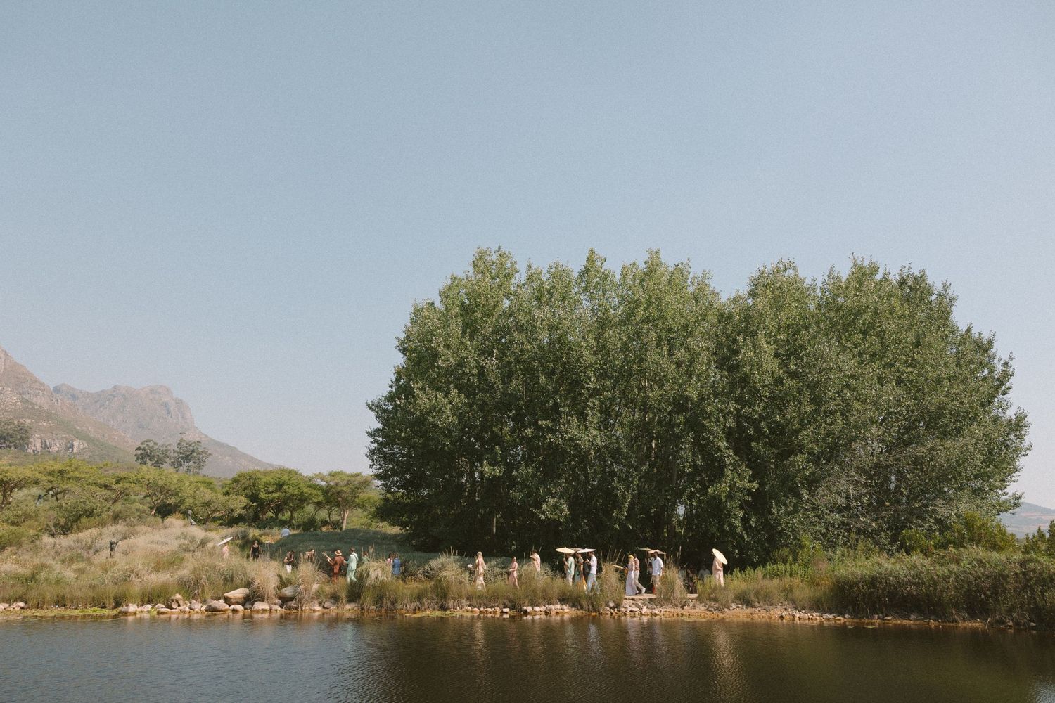 Dylan Lewis Sculpture Garden, ANNE MANN, Ayeh K,Brad Jackson, Fleur le Cordeur, makeup by Algria, Cape Town wedding photohrapher