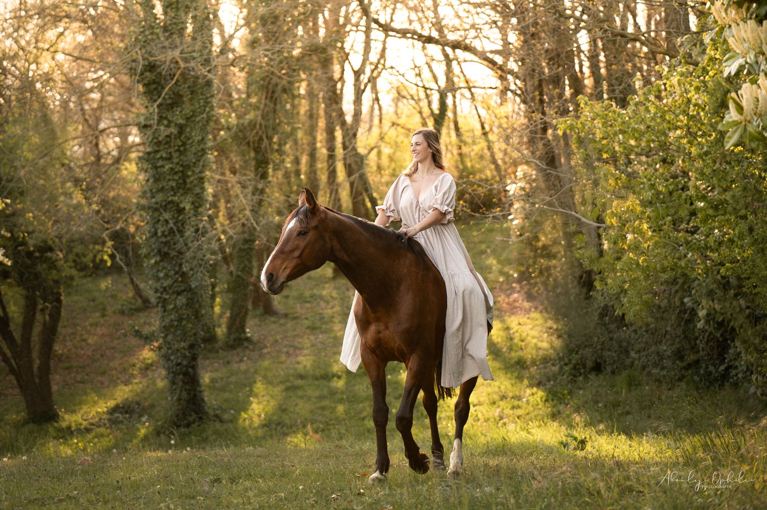 Séance photo chevaux Haute-Savoie