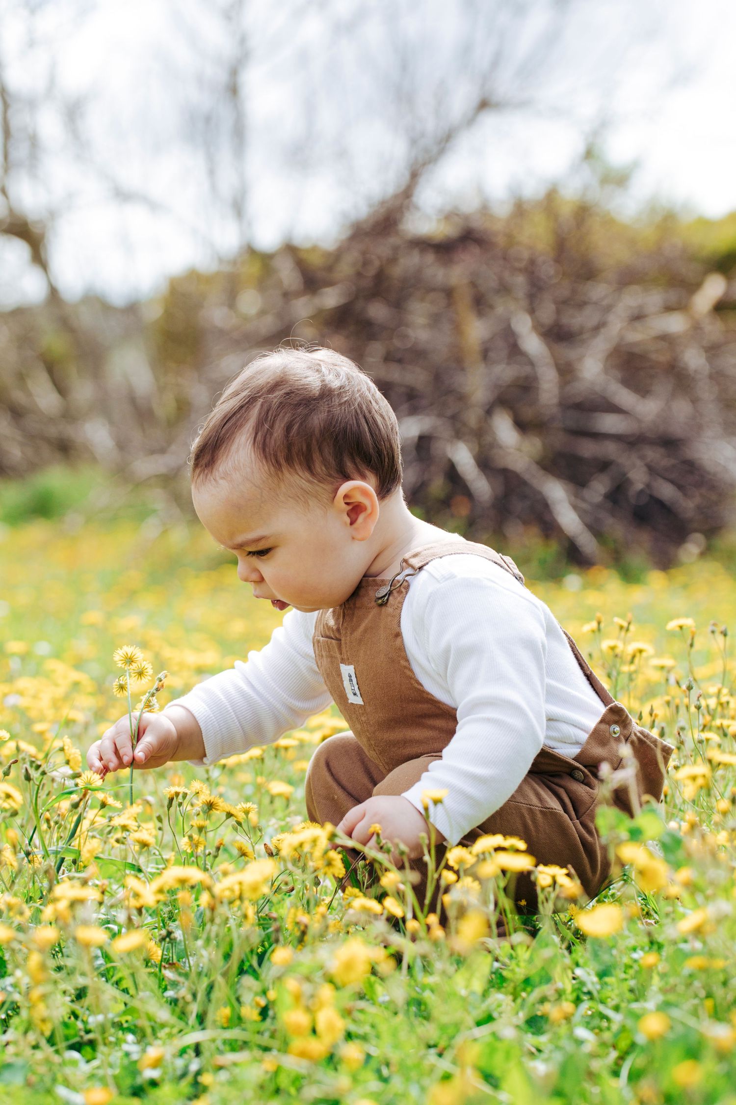 maternity-newborn-family-photography-newbury-berkshire-natural-light-secu-photography.jpg