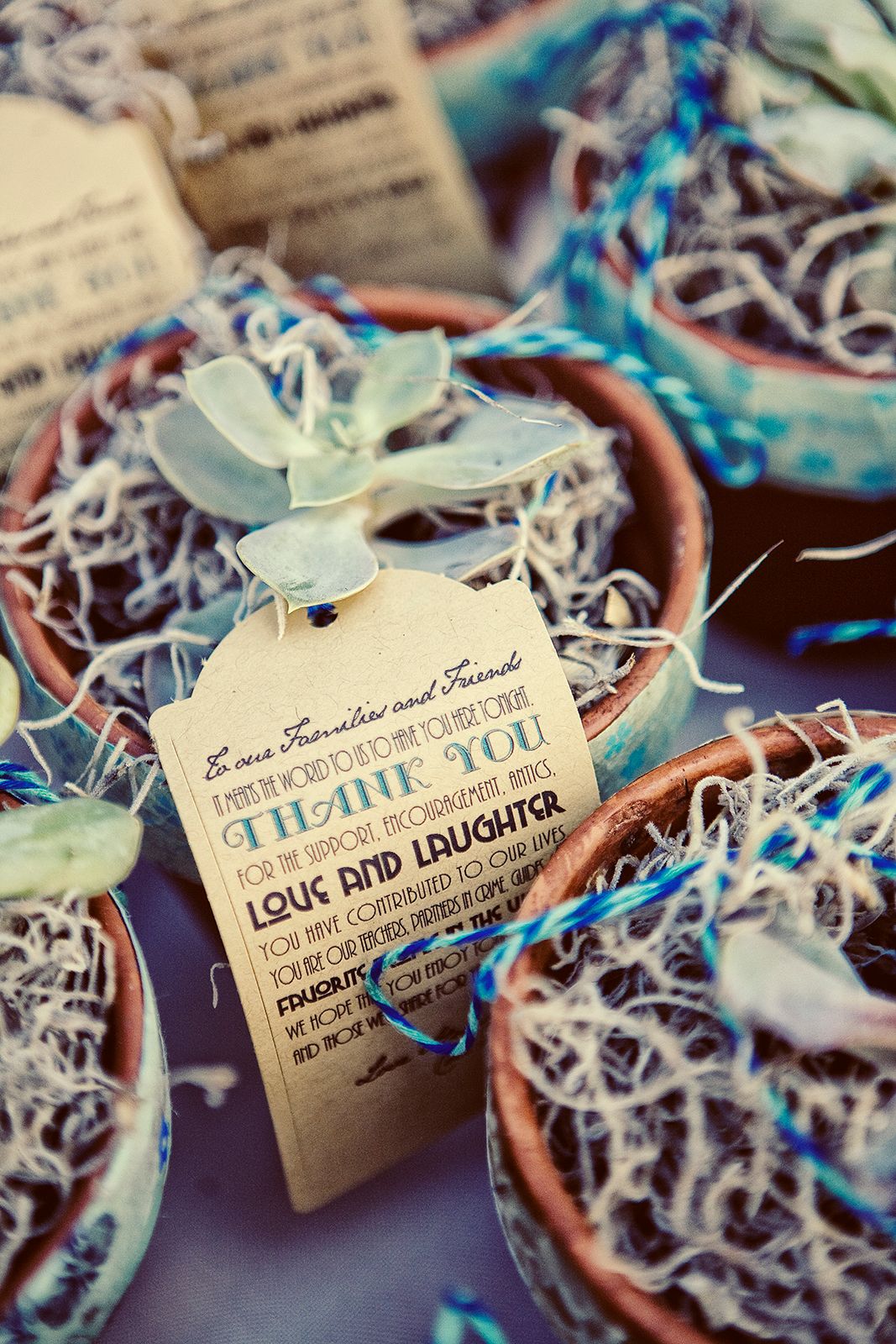 Rustic terracotta pot wedding favors with succulents and thank you tags nestled in decorative shredded paper.