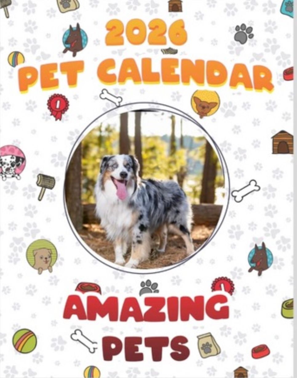 Colorful pet calendar design featuring circular photos of dogs with playful paw prints and bone patterns in the background.