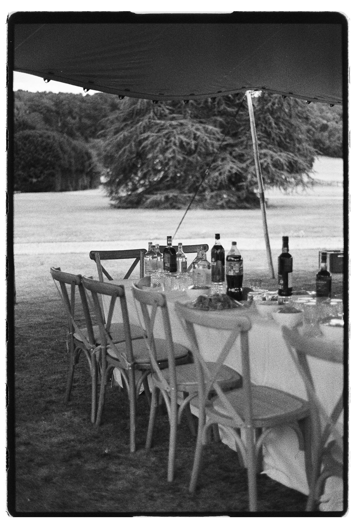 Black and white photo of an outdoor dining table with bottles and chairs under a tent canopy on a lush green lawn.
