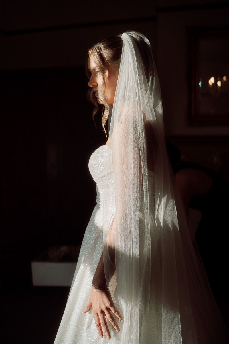 A bride in a white wedding dress and veil stands in dramatic lighting creating an elegant silhouette.