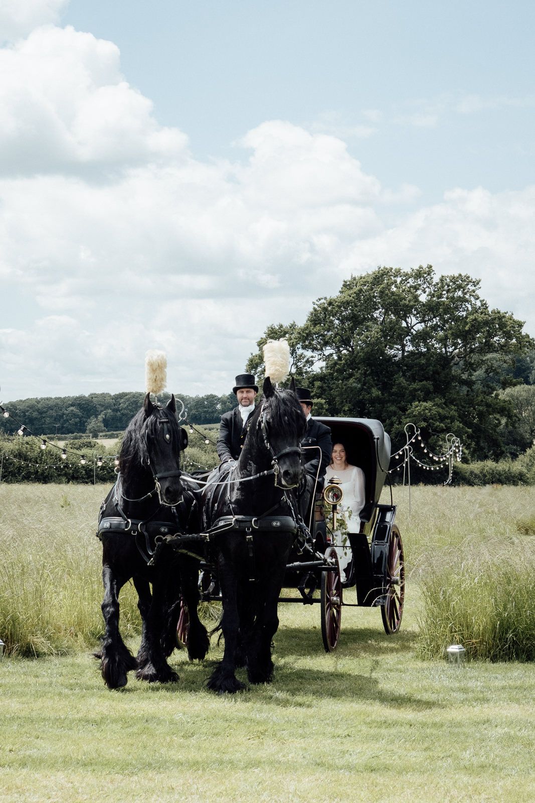 Black draft horses pulling a traditional carriage through a green meadow with trees in the background.