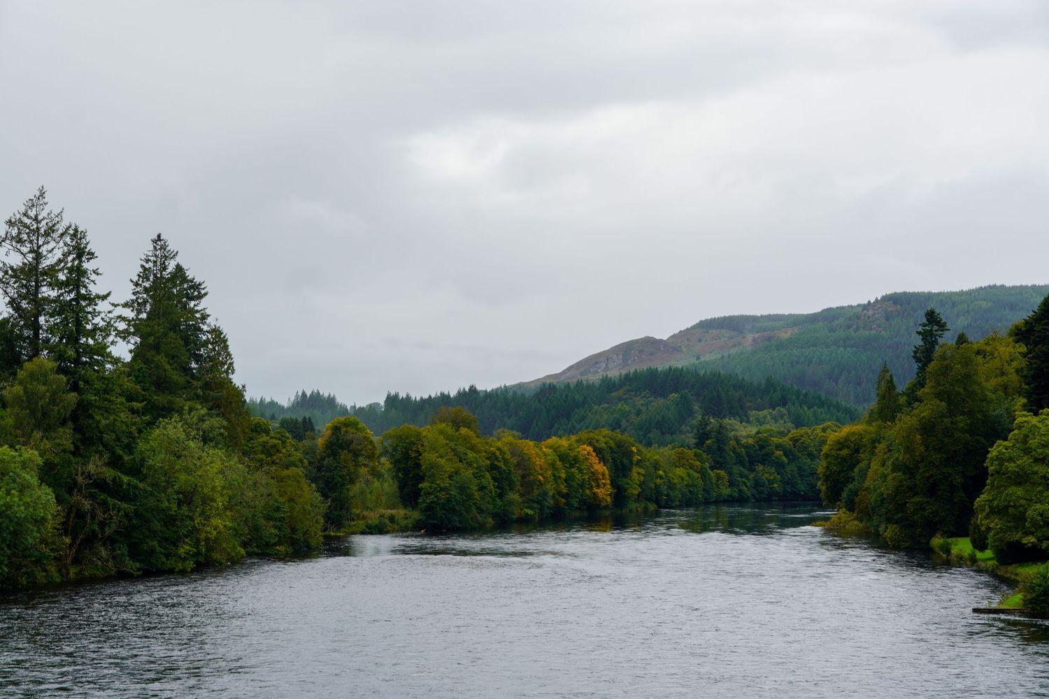 Telford Bridge Dunkeld Scotland
larkindm photography
Donna Larkin Photographer Central Valley