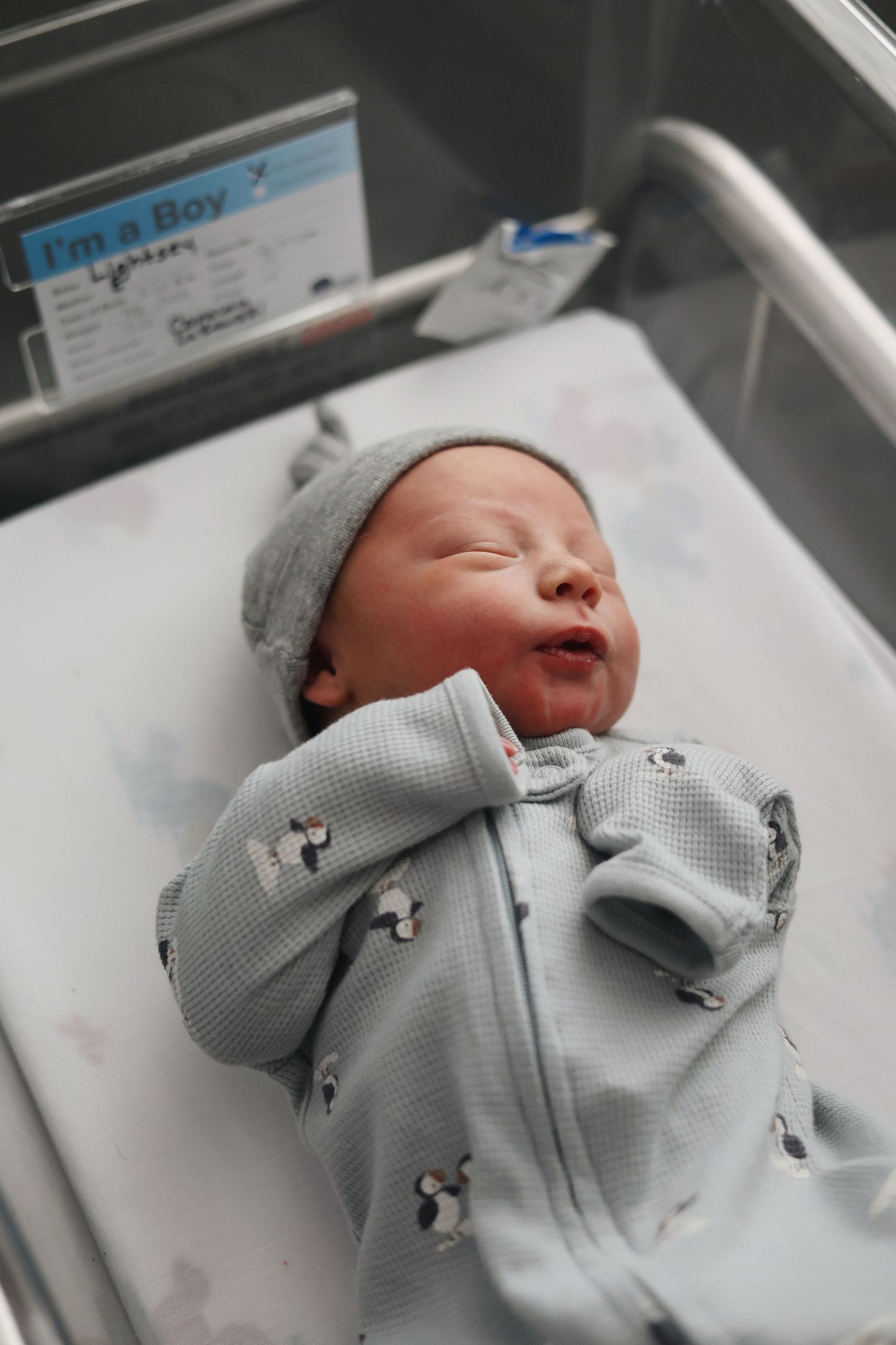 Newborn