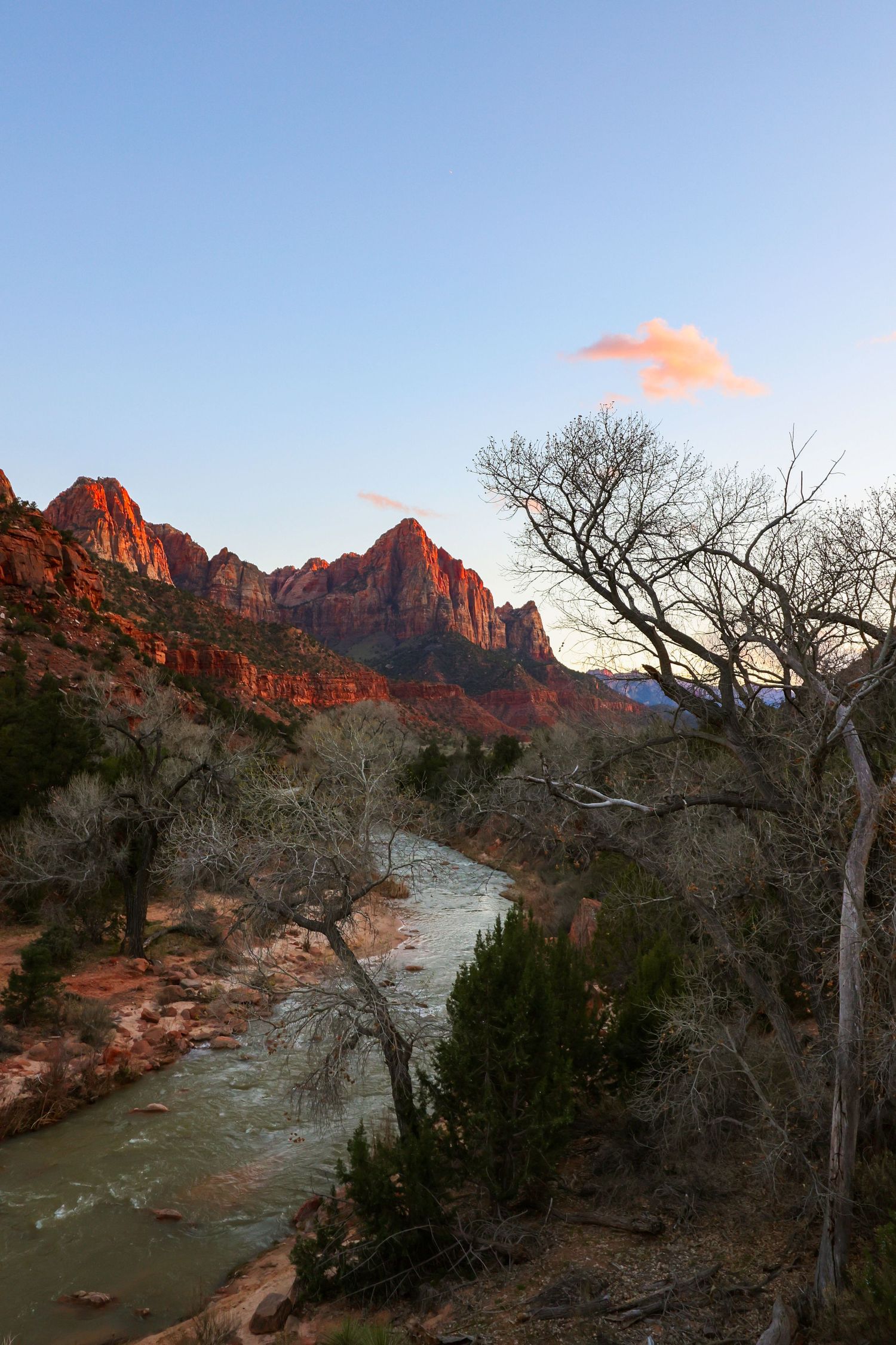 The Watchman towers over the Virgin River at dusk in Zion National Park, Utah.