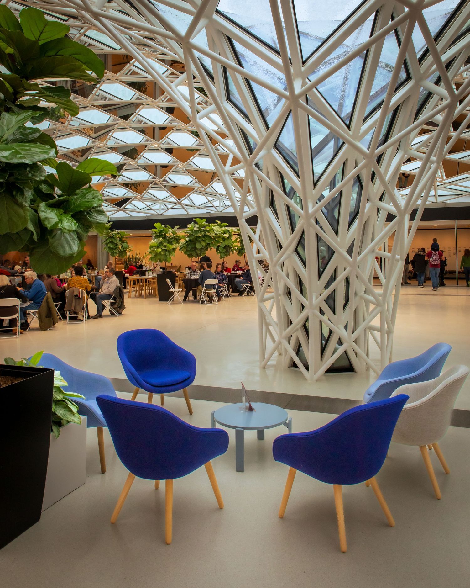 Modern atrium interior with geometric white lattice structure, blue chairs, and lush tropical plants overhead.
