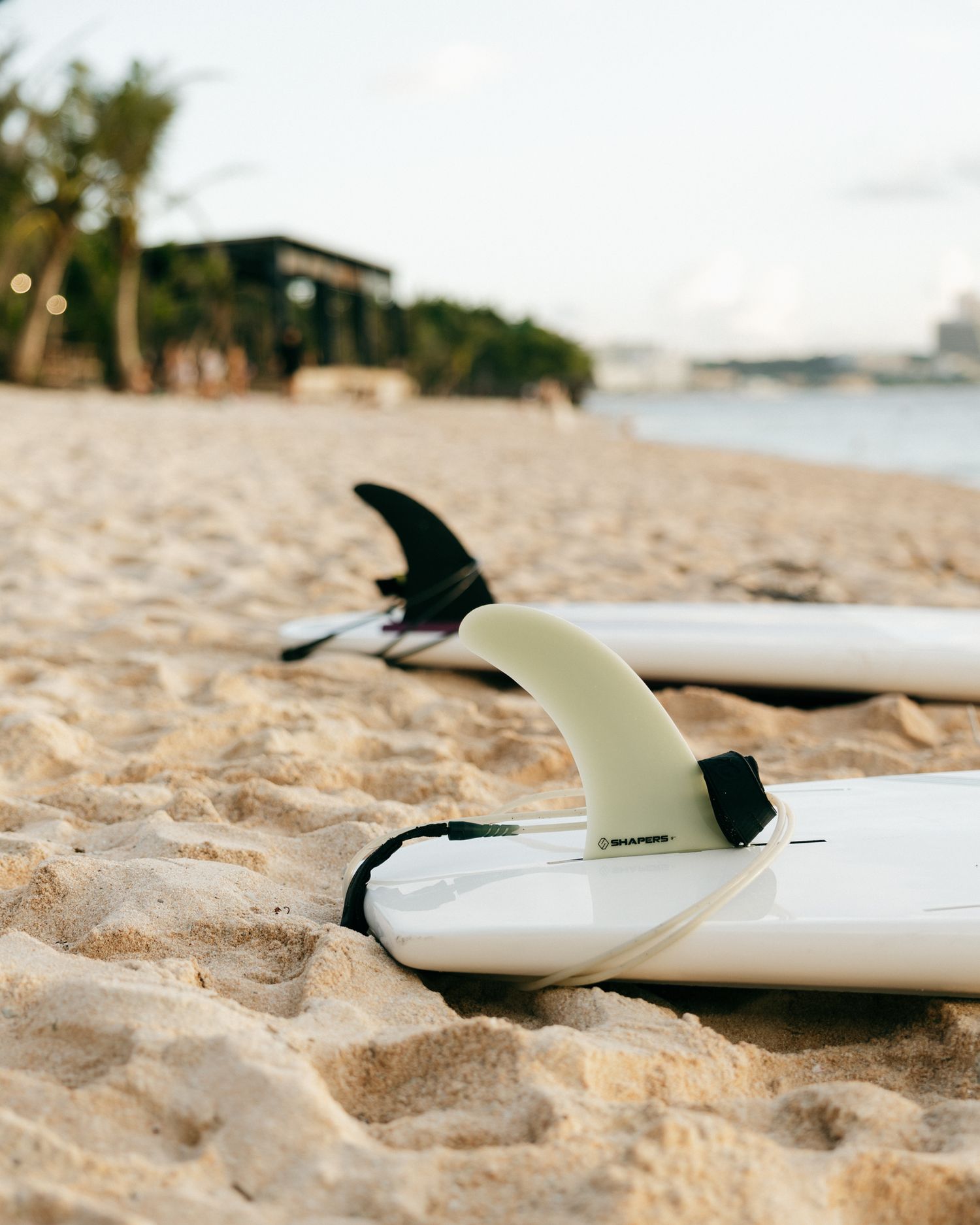 Two white surfboards with fins resting on sandy beach near ocean shoreline with palm trees in background.