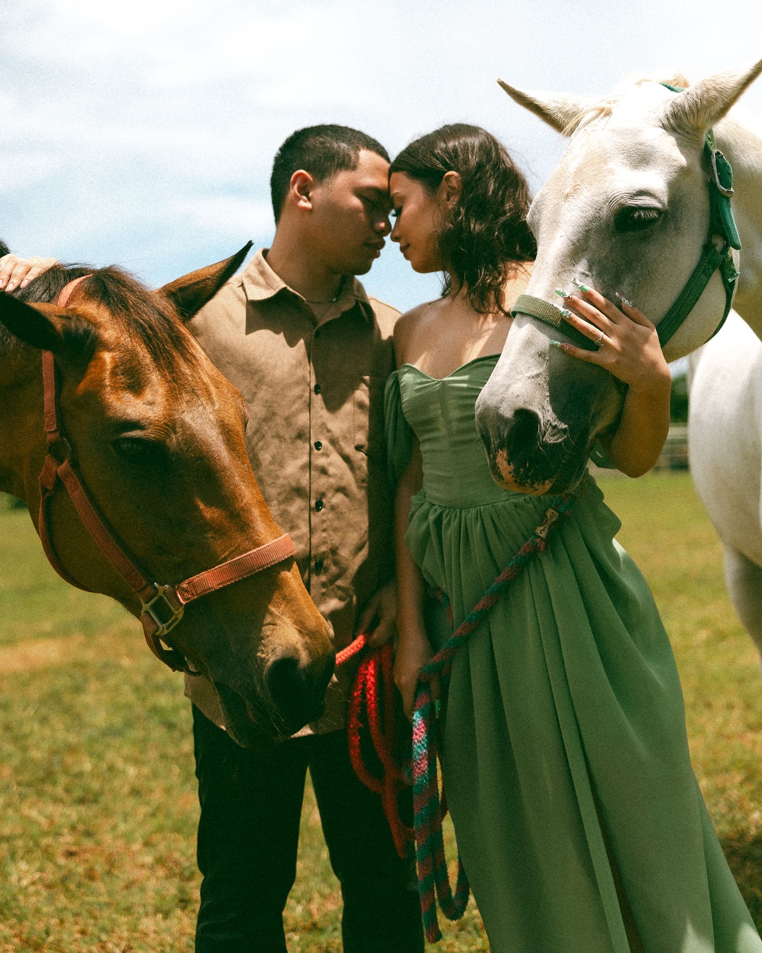 Romantic couple sharing a kiss between a brown and white horse in a green field.