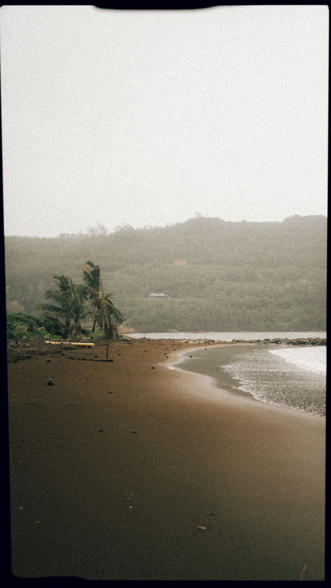 Misty tropical beach with dark sand, palm trees swaying in wind, calm bay waters, and lush green hillside in background.