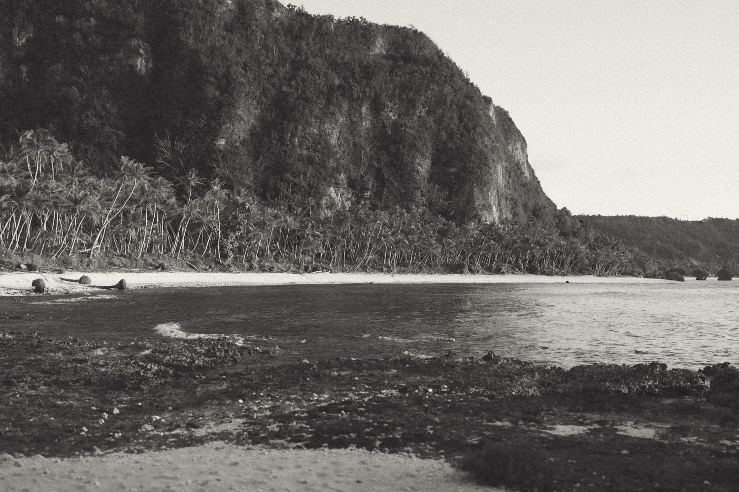 Black and white coastal landscape with rocky cliffs, lush forest, sandy beach, and calm waters.