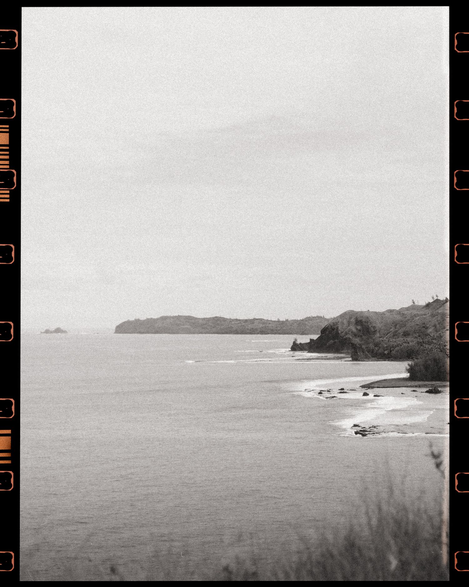Black and white film photo of a coastal landscape with a tree-lined peninsula and calm ocean waters under an overcast sky.
