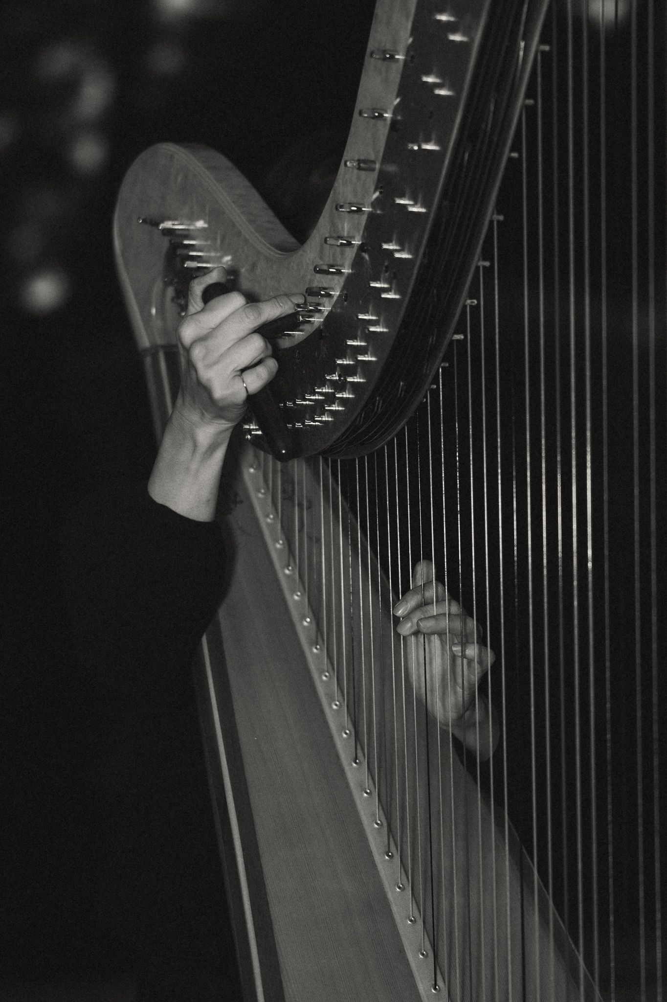 Black and white photo of a musician playing a large concert harp, fingers plucking strings in a dramatic close-up.