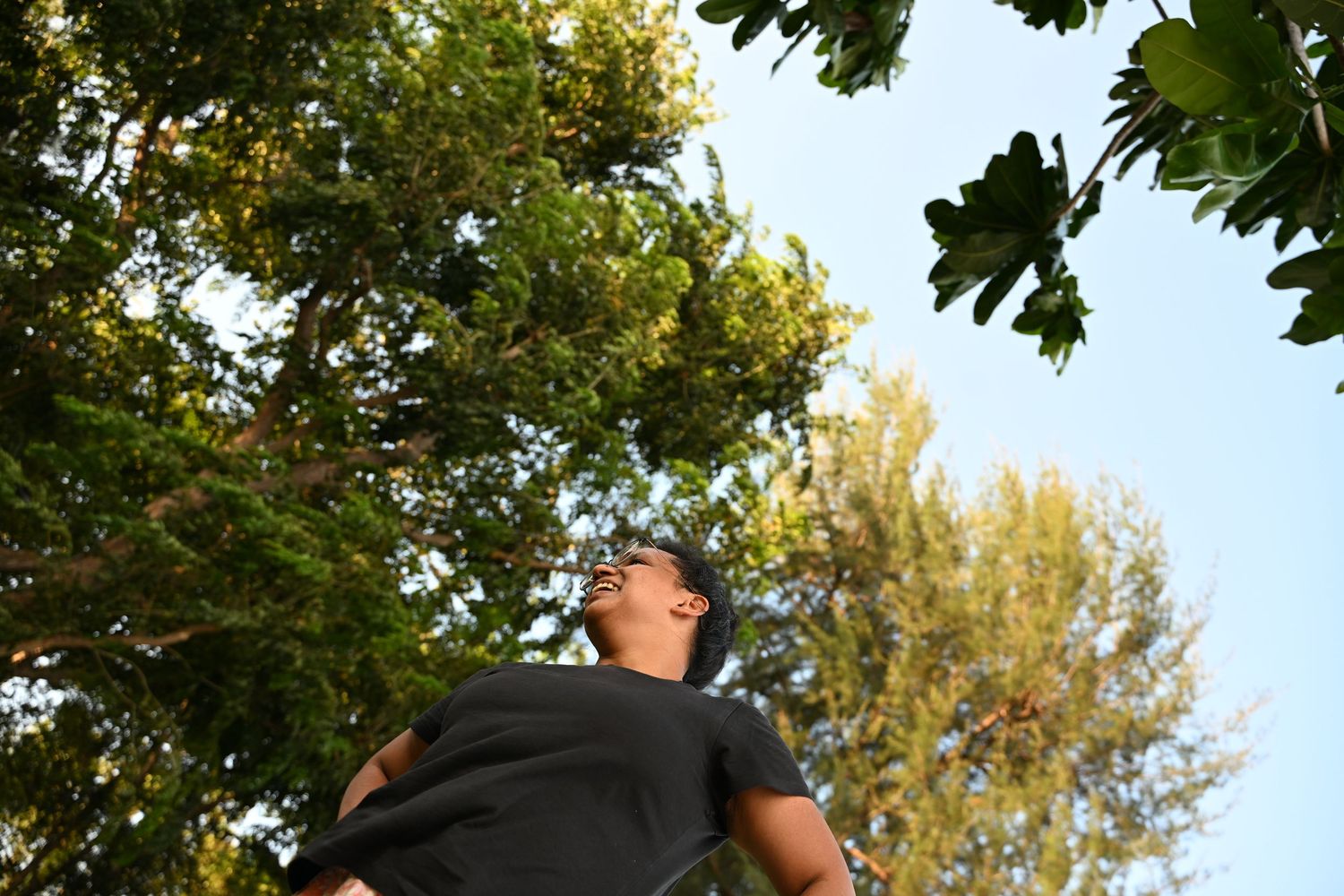 Young man in black shirt looking up at lush green trees from below against blue sky.