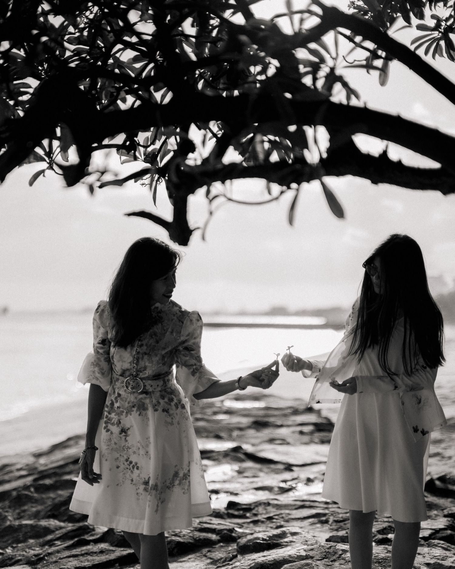 Two girls in white dresses exchange flowers on a beach beneath a tree in black and white.