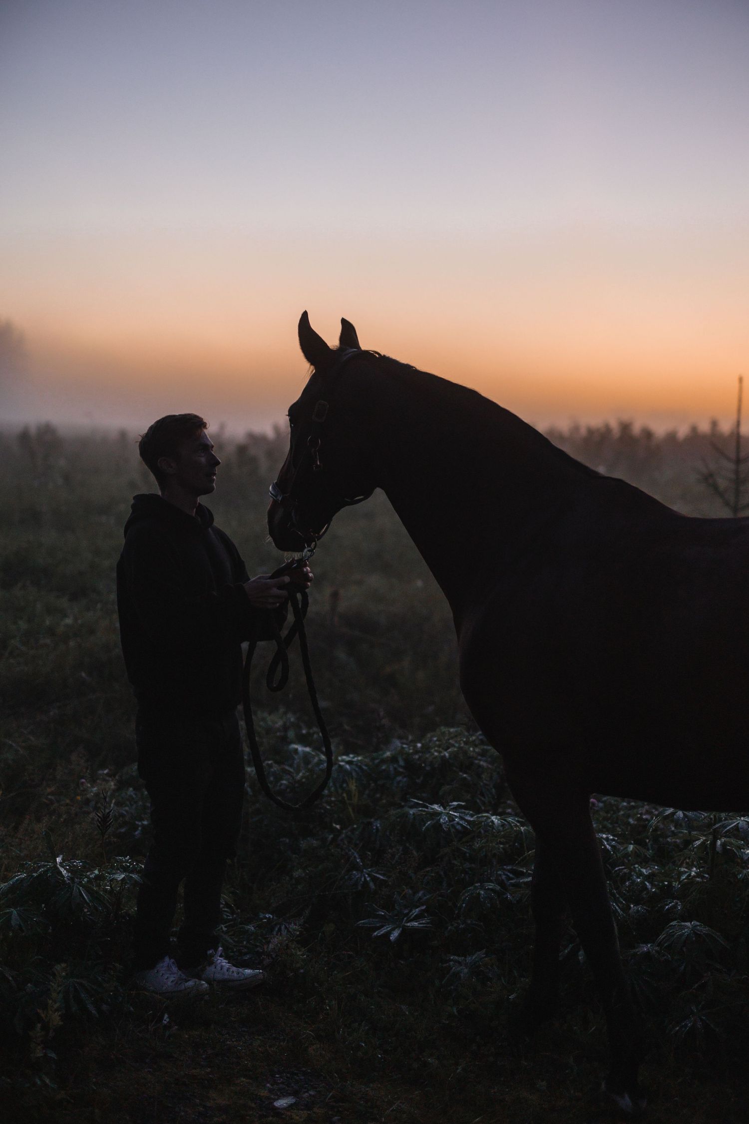 Silhouette of a person holding a horse at dusk in a misty field with a colorful sunset sky.