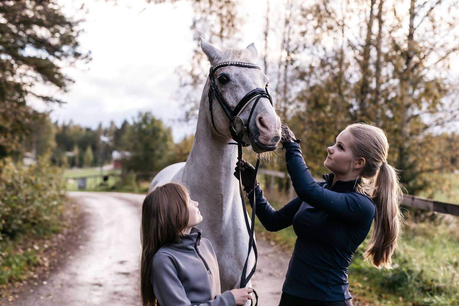Two girls grooming a white horse on a rural path surrounded by autumn trees.