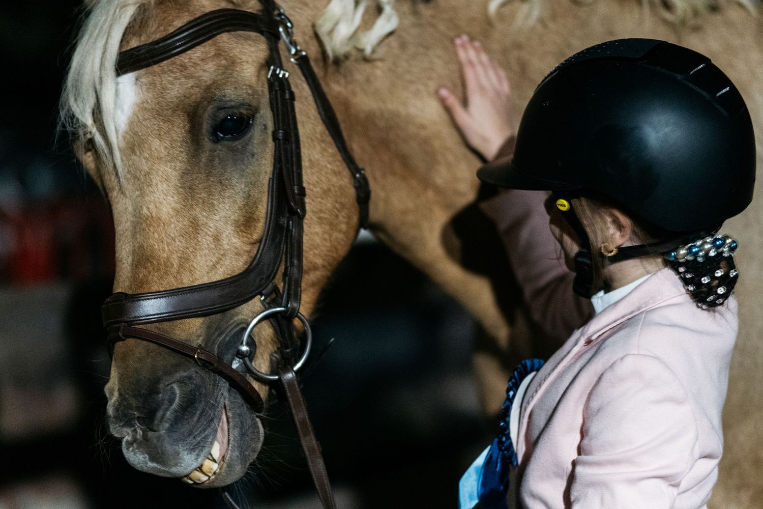 Young equestrian in black helmet gently petting a golden palomino horse wearing a bridle in a stable.