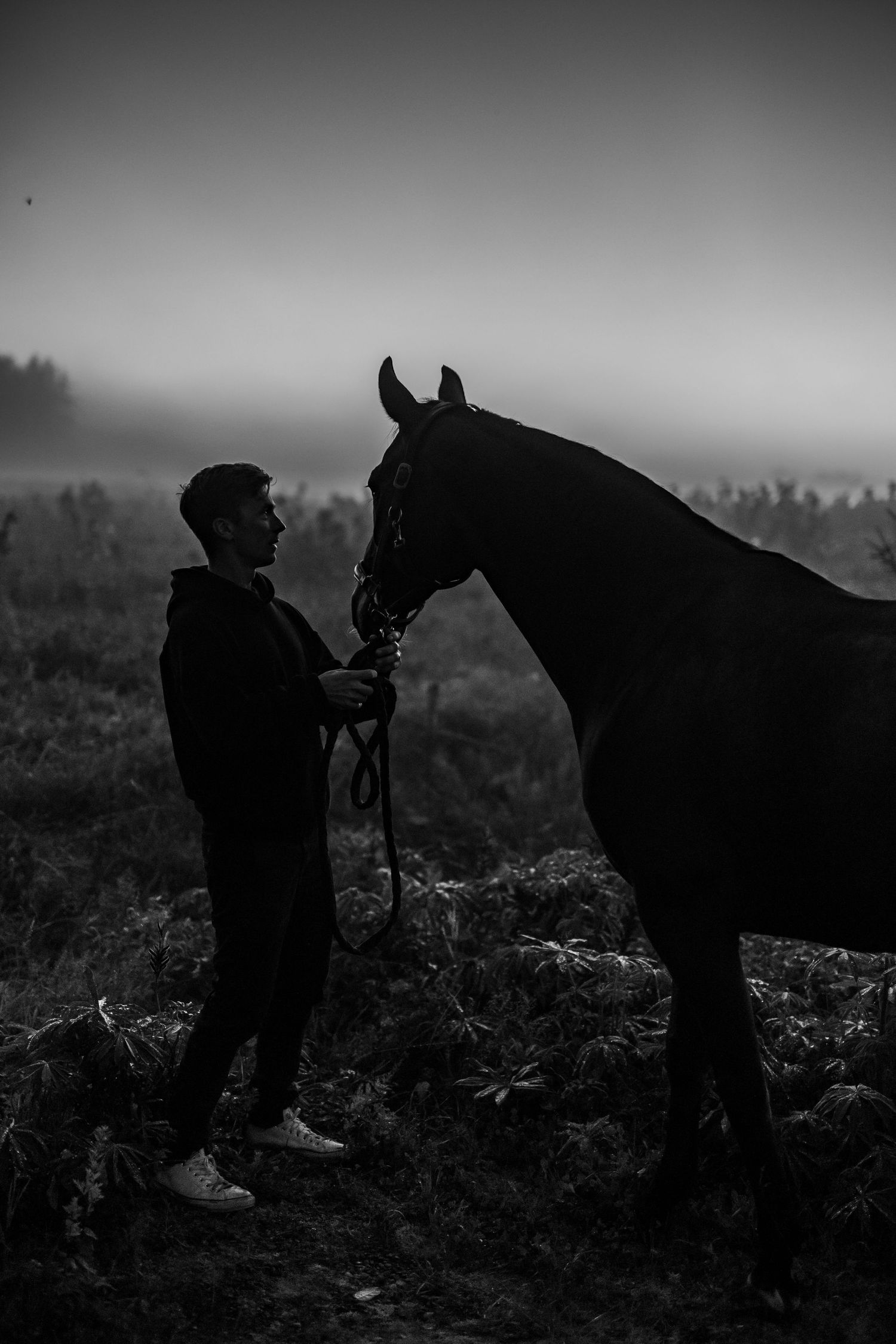 Black and white photo of a person holding the reins of a tall horse in a misty field at dusk.