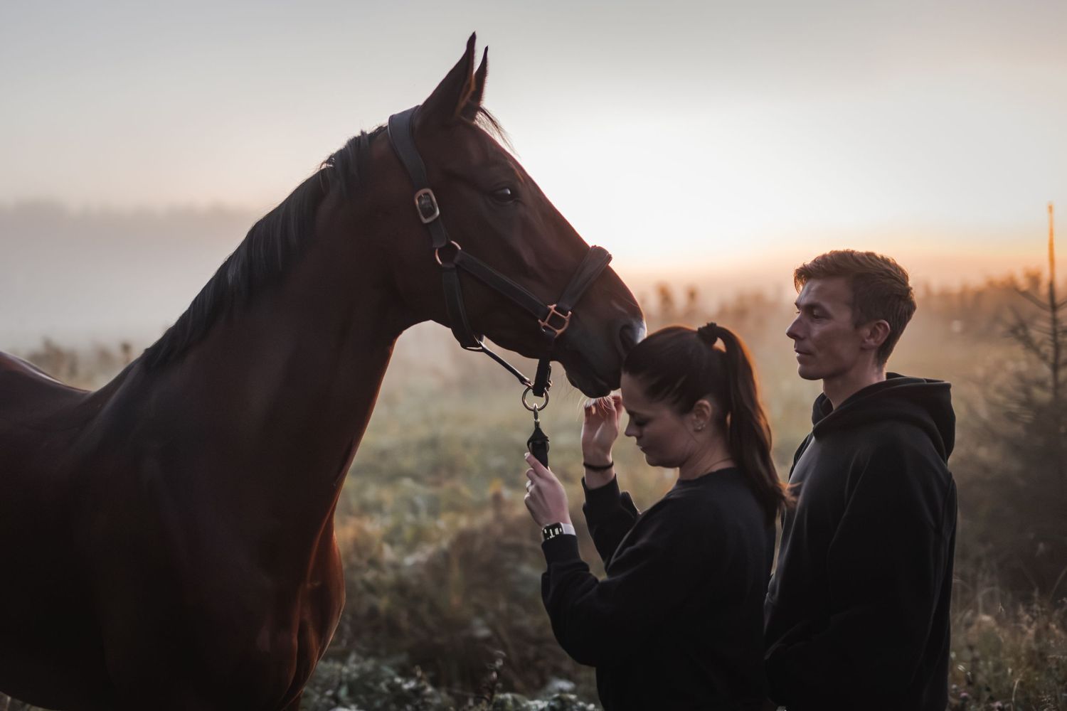A couple in black hoodies tenderly interacts with a brown horse at sunset in a misty outdoor setting.