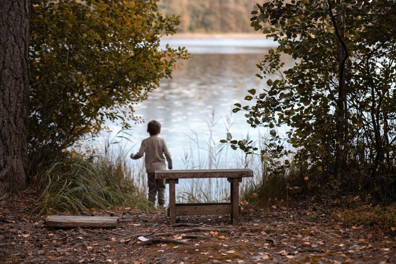 Child standing by a rustic wooden bench near a tranquil lake surrounded by autumn foliage.