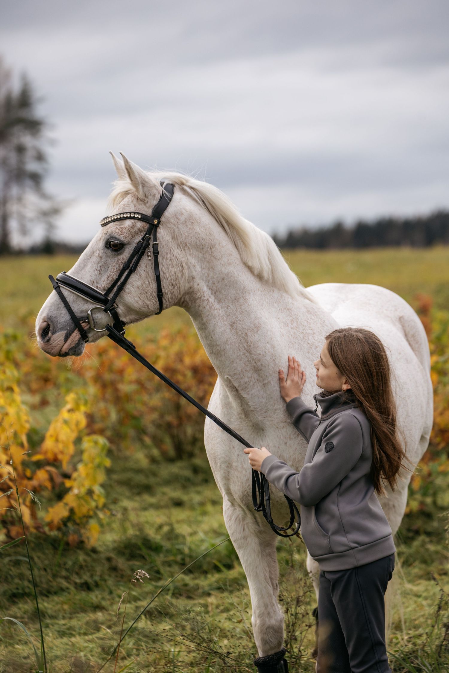 Young girl in gray jacket gently petting a white horse in an autumn field with colorful foliage.