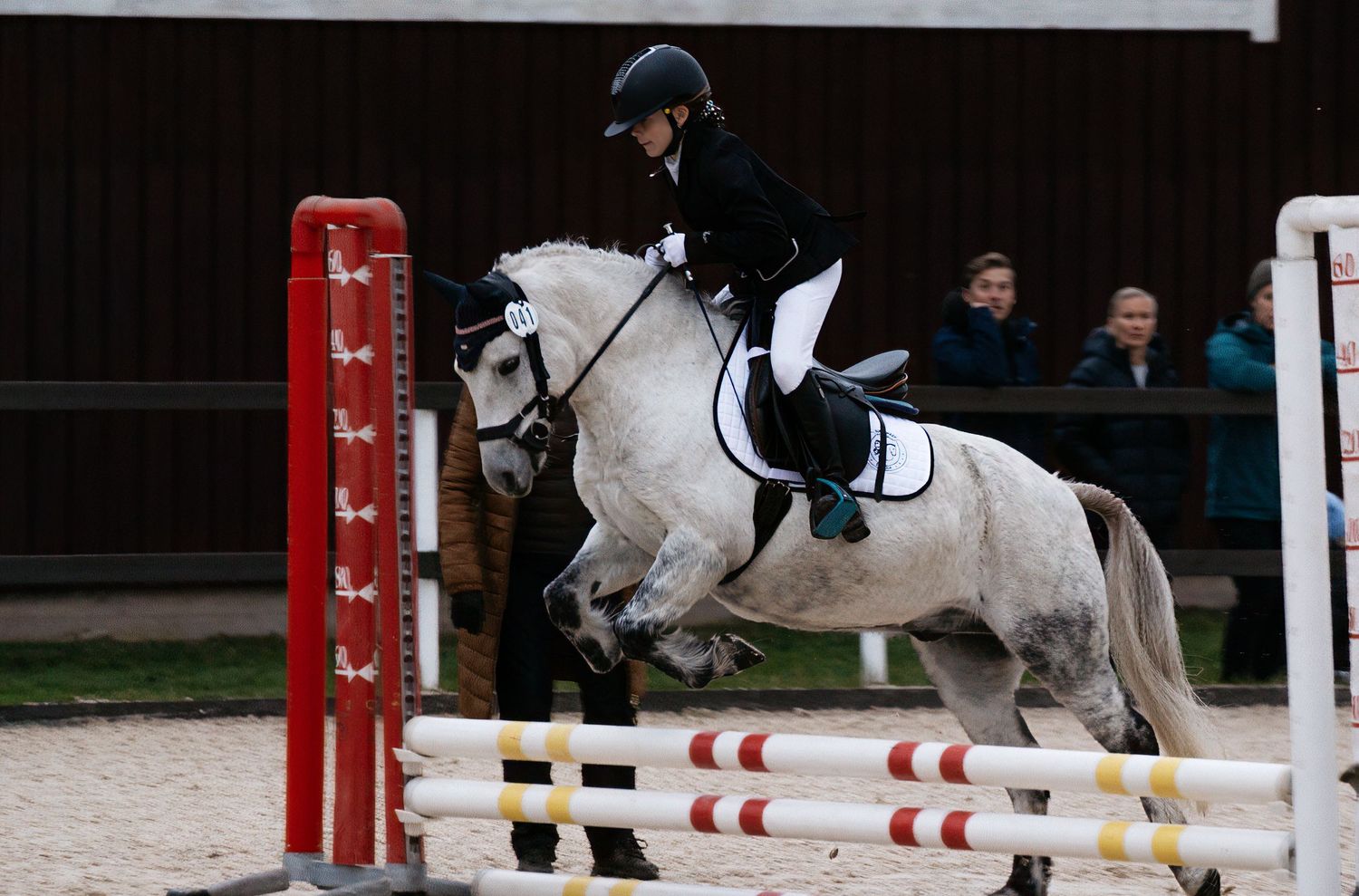 A rider in a black helmet and jacket guides a gray pony over a red and white striped jump during an equestrian show jumping competition.