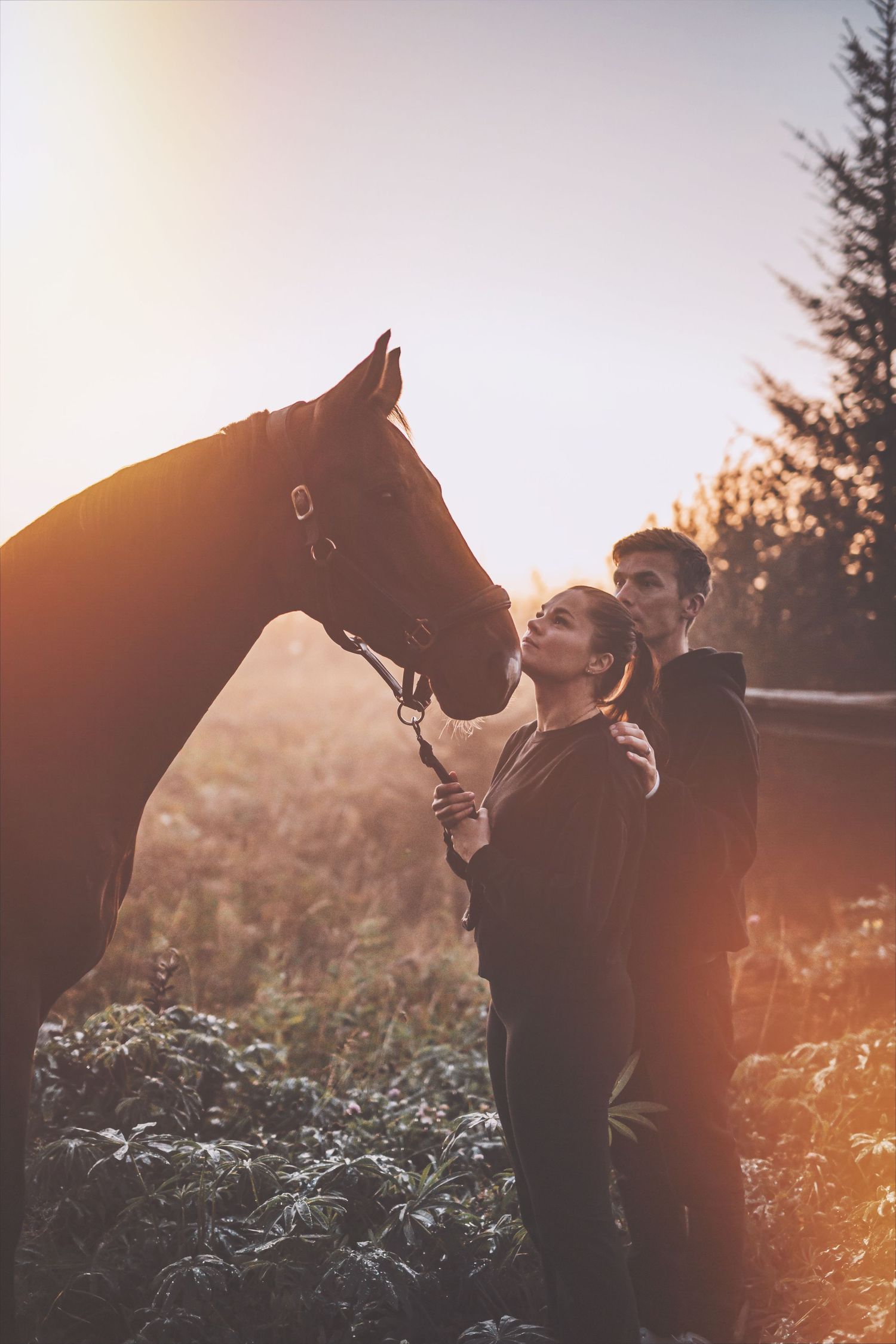 Couple sharing a tender moment with a dark horse at golden sunset in a lush field.