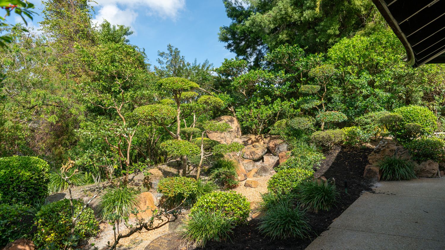 Manicured Japanese garden with sculpted pines and rock landscape under blue sky.