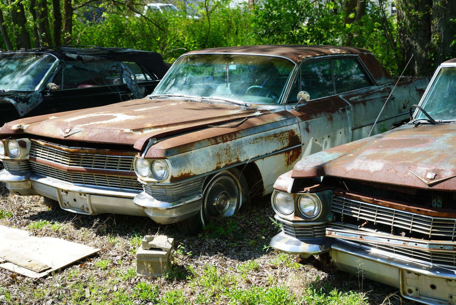 Three rusty abandoned vintage Cadillac cars from the 1960s sit deteriorating in an overgrown outdoor junkyard.