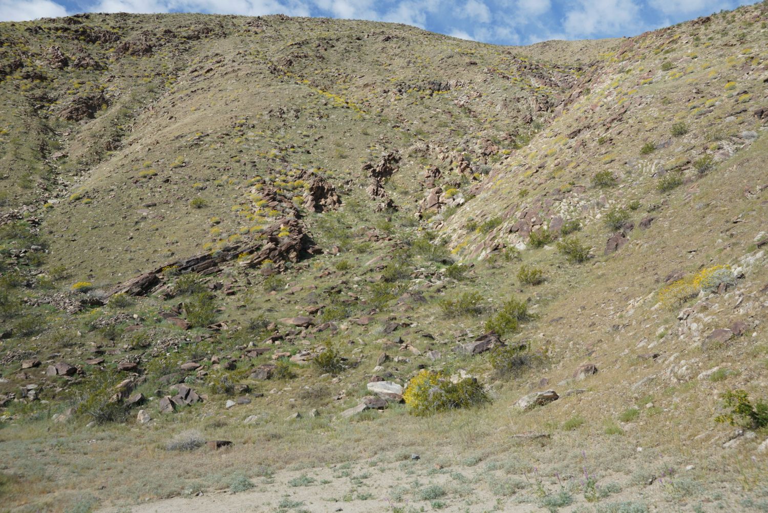 Sparse desert scrub vegetation dots a rocky arid hillside under blue skies.