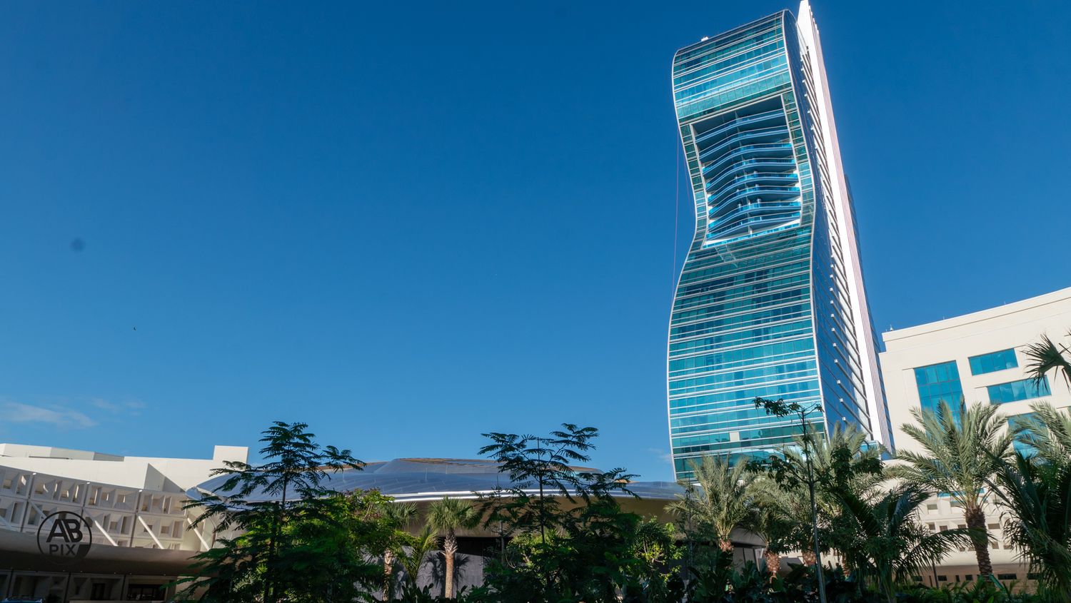 Modern curved glass skyscraper hotel tower surrounded by palm trees under vivid blue sky.