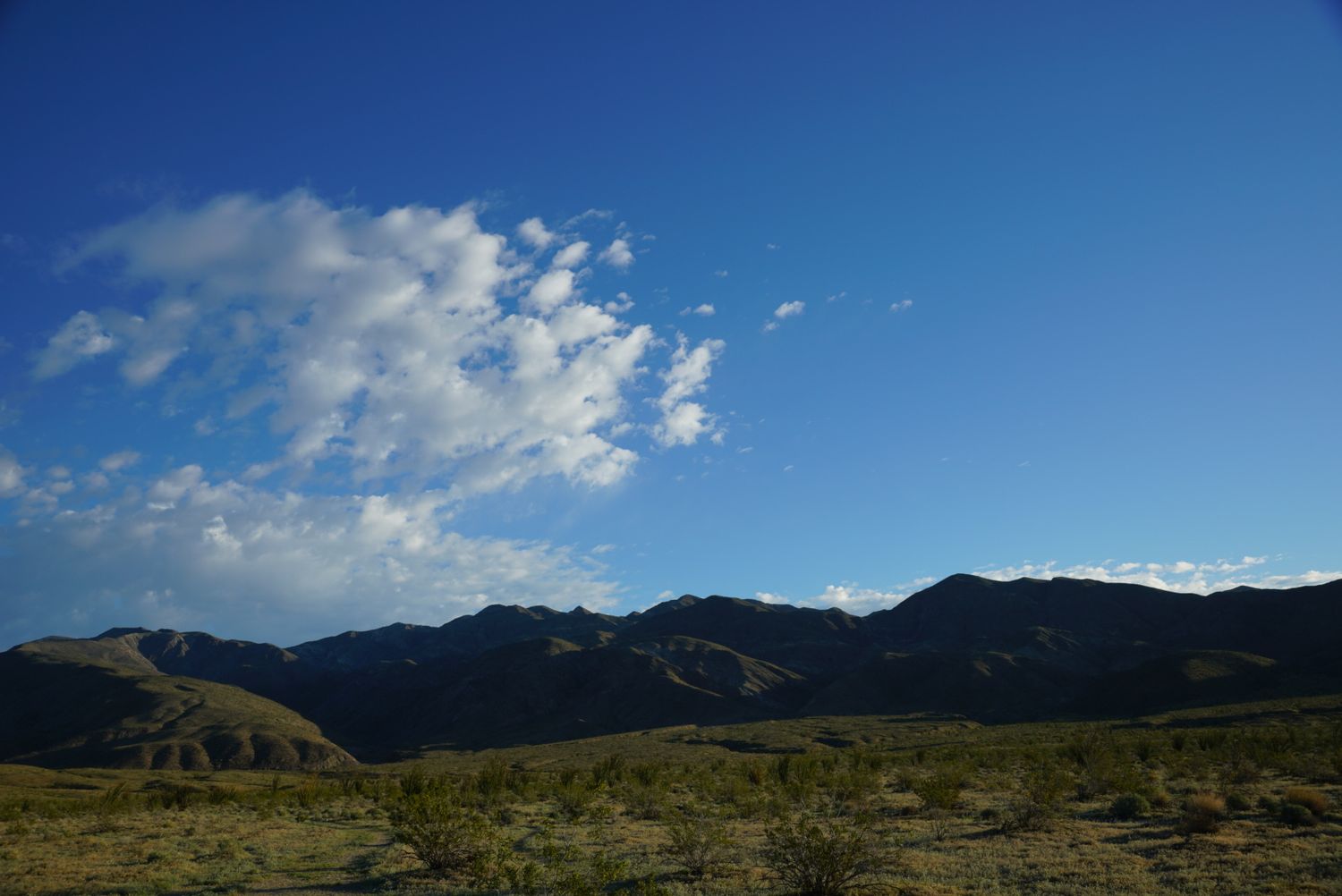 Desert valley with sparse vegetation under a vivid blue sky with dramatic white clouds over dark mountains.