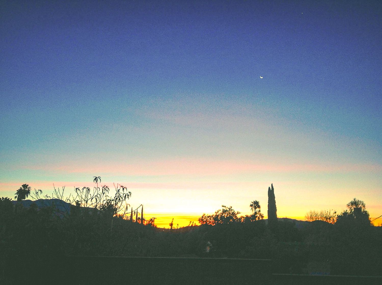 Stunning desert sunset silhouetting trees and cacti against a vivid orange and blue sky.