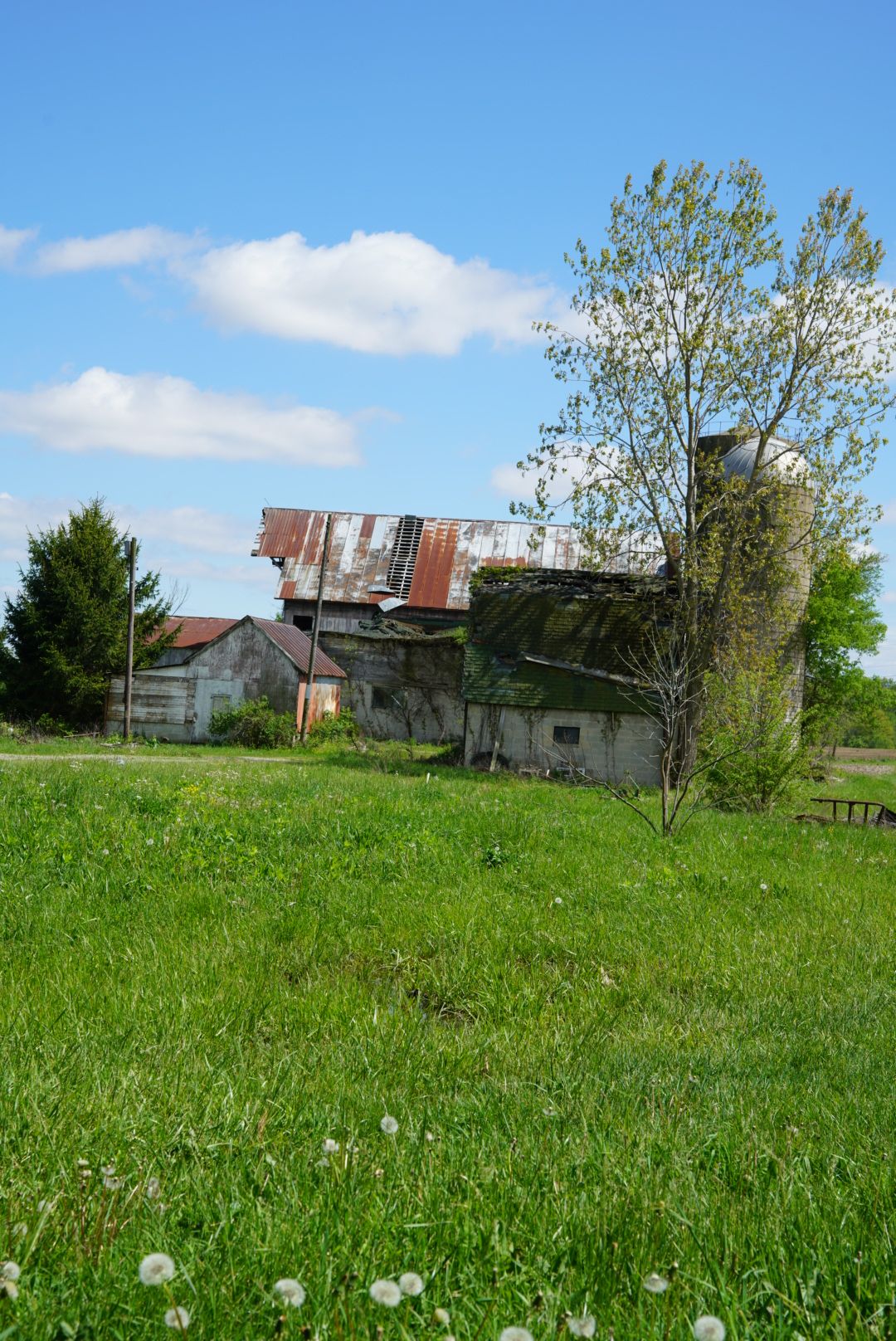 An old abandoned farm building with a collapsing rusty roof stands beside a green meadow under blue sky.