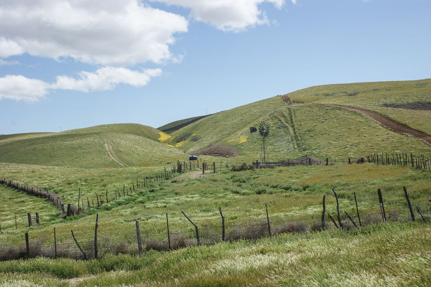 Green pastoral hillside with wooden fence, windmill, and grazing land under blue skies.